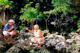 Maravillosos cenotes
